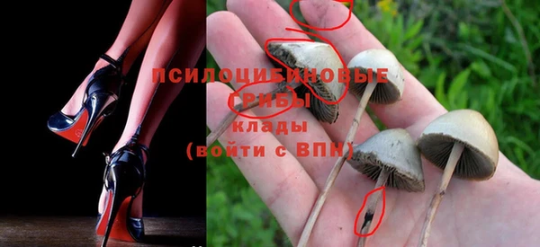 спиды Беломорск
