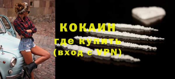 прущие грибы Белоозёрский