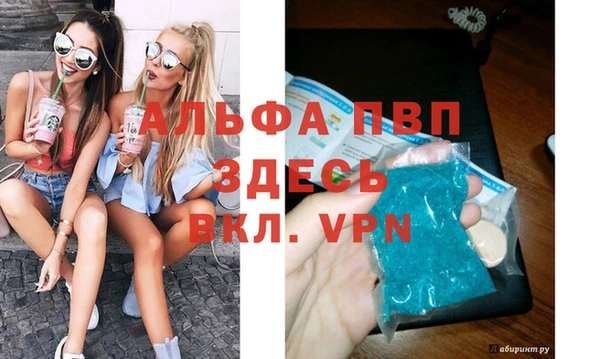 прущие грибы Белоозёрский