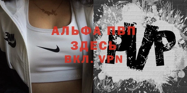 прущие грибы Белоозёрский