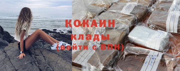 прущие грибы Белоозёрский