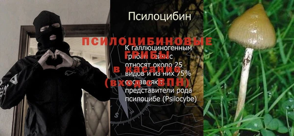 спиды Беломорск