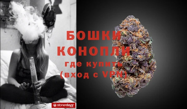 прущие грибы Сафоново